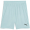 PUMA teamGOAL Shorts Herren 41 - modern mint M