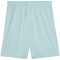 PUMA teamGOAL Shorts Herren 41 - modern mint M
