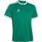 Select Monaco Trikot grün/weiß 164/176