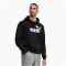 PUMA Essential Big Logo Hoodie PUMA black XL