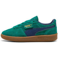 PUMA Palermo Sneaker Kinder 35 - wild green/persian blue 36