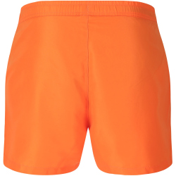 VIRTUS Smither V2 Boardshorts Herren
