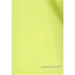 ENDURANCE Waane Technical Trainingsshirt Herren