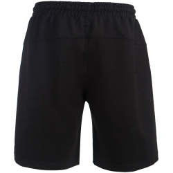 ENDURANCE Prince Trainingsshorts Herren