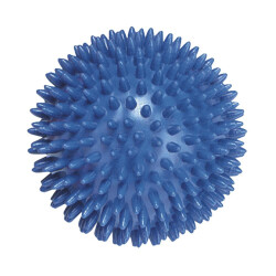 TRENDY SPORT Theraball