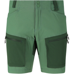 Whistler Kodiak Wandershorts Herren 3175 - trekking green S