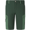 Whistler Rommy Wandershorts Herren 3065 - scarab M