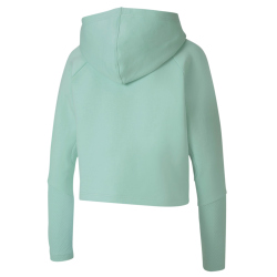 PUMA Evostripe Hoodie