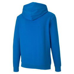 PUMA teamGOAL 23 Casuals Hoodie Herren
