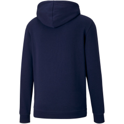 PUMA teamGOAL 23 Casuals Hoodie Herren
