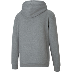 PUMA teamGOAL 23 Casuals Hoodie Herren