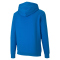PUMA teamGOAL 23 Casuals Hoodie Herren