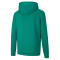 PUMA teamGOAL 23 Casuals Hoodie Herren