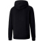 PUMA teamGOAL 23 Casuals Hoodie Herren