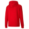 PUMA teamGOAL 23 Casuals Hoodie Herren
