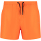 VIRTUS Smither V2 Boardshorts Herren 5042 - exuberance S