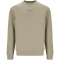 VIRTUS Taro V2 Crew Neck Sweatshirt Herren 3250 - dried sage S
