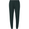 VIRTUS Taro V2 Technical Jogginghose Herren 3278 - forest river S