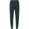 VIRTUS Taro V2 Technical Jogginghose Herren 3278 - forest river S