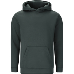 VIRTUS Taro V2 Technical Hoodie Herren 3278 - forest river S