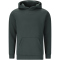 VIRTUS Taro V2 Technical Hoodie Herren 3278 - forest river S