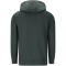 VIRTUS Taro V2 Technical Hoodie Herren 3278 - forest river S