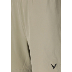 VIRTUS Spier V3 Trainingsshorts Herren 3250 - dried sage S