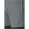 VIRTUS Zayne V2 2in1 Trainingsshorts Herren 2295 - lagune gray S