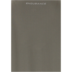 ENDURANCE Barrbara Laufshirt Damen 1013 - gunmetal 34