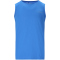 ENDURANCE Waane Technical Tanktop Herren 2031 - victoria blue S