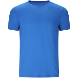 ENDURANCE Waane Technical Trainingsshirt Herren 2031 -...