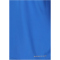ENDURANCE Waane Technical Trainingsshirt Herren 2031 - victoria blue S
