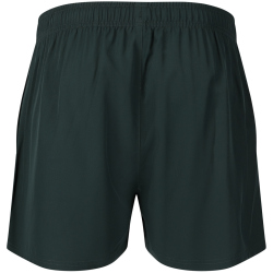 ENDURANCE Kros Laufshorts Herren 3035 - green gables S