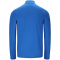 ENDURANCE Armin 1/2-Zip Midlayer Herren 2031 - victoria blue XL