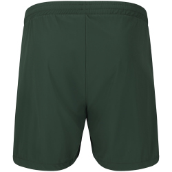 ENDURANCE Dyne Trainingsshorts Herren 3035 - green gables S