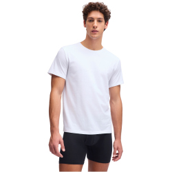 2er Pack UNDER ARMOUR Performance Cotton Crew Neck...