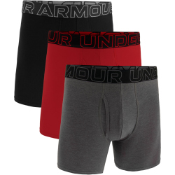 3er Pack UNDER ARMOUR Performance Cotton Solid 6" Boxershorts Herren 021 - castlerock 3XL