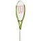 Wilson Blade Feel Team 103 Tennisschläger green 1
