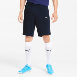 PUMA teamGOAL 23 Casuals Shorts