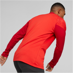 PUMA teamCUP Training 1/4-Zip Top Herren