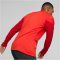 PUMA teamCUP Training 1/4-Zip Top Herren