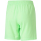 PUMA teamLIGA Shorts Kinder