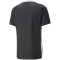 PUMA teamCUP Trikot Herren