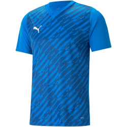 PUMA teamULTIMATE Trikot Herren