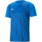 PUMA teamULTIMATE Trikot Herren