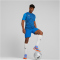 PUMA teamULTIMATE Trikot Herren