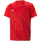 PUMA teamULTIMATE Trikot Kinder