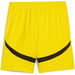 PUMA BVB Borussia Dortmund Shorts 2024/25 Herren