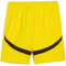 PUMA BVB Borussia Dortmund Shorts 2024/25 Herren