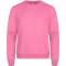 CLIQUE Miami Roundneck Sweatshirt 250 - bright pink XS